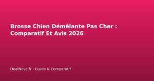 Brosse Chien Démêlante Pas Cher : Comparatif Et Avis 2026