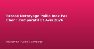 Brosse Nettoyage Paille Inox Pas Cher : Comparatif Et Avis…