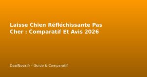Laisse Chien Réfléchissante Pas Cher : Comparatif Et Avis 2026