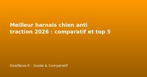 Meilleur harnais chien anti traction 2026 : comparatif et top 5