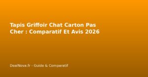 Tapis Griffoir Chat Carton Pas Cher : Comparatif Et Avis 2026
